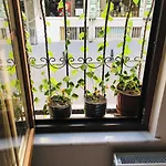Aparthotel Halil Bey Konagi Istanbul
