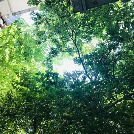 Halil Bey Konagi 3* Istanbulská provincie