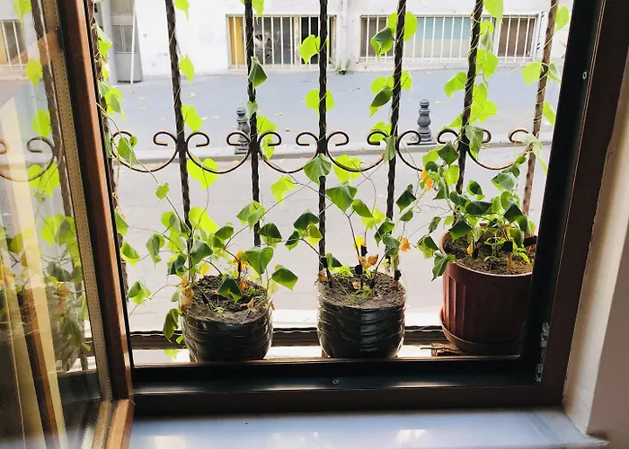 Hotel apartamentowy Halil Bey Konagi Stambuł