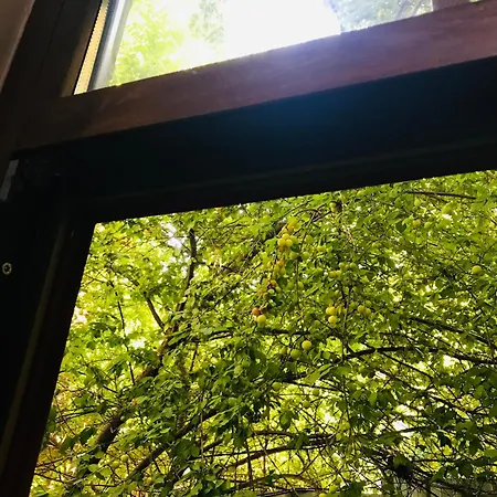 Halil Bey Konagi 3* Estambul